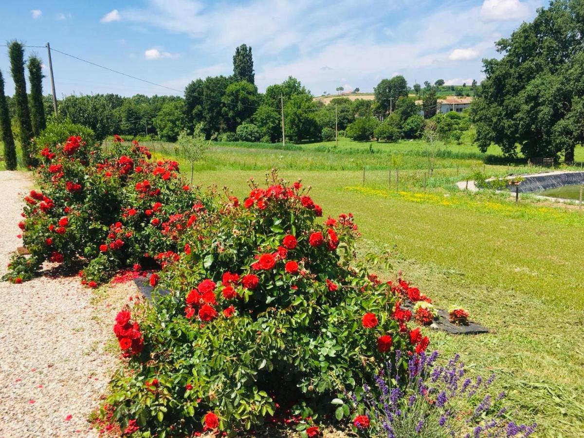 הוילה מונזמבנו Incanto Del Garda מראה חיצוני תמונה